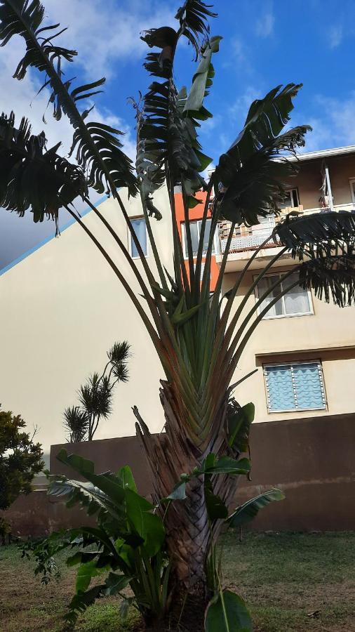 Apartmán Le Voyageur A 1 Mn Du Chu Sud Terre-Sainte, Saint-Pierre Exteriér fotografie